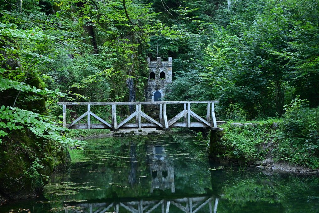 okolica_grada_Snezniki_-_Snezniski_gozdovi.JPG