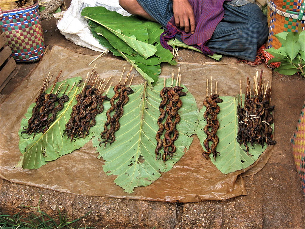 Potovanje_na_Burmo_-_Travel_to_Burma_-_Trznica_-_prodaja_kac.jpg