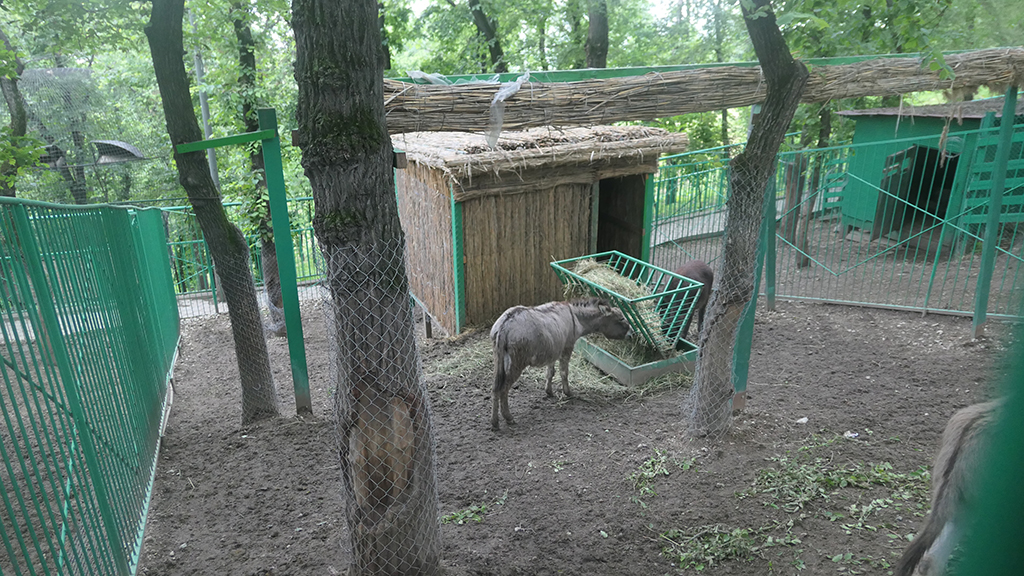 Potovanje_v_Kazahstan_-_Travel_to_Kazakhstan_27.JPG