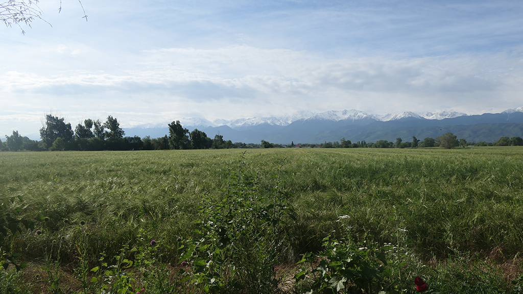 Potovanje_v_Kazahstan_-_Travel_to_Kazakhstan_28.JPG