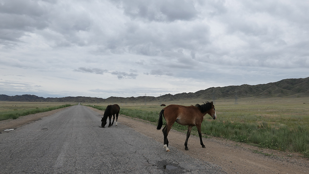 Potovanje_v_Kazahstan_-_Travel_to_Kazakhstan_30.JPG