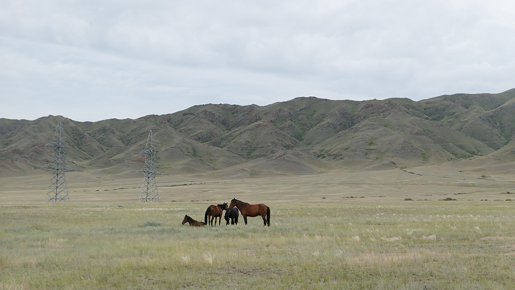 Potovanje_v_Kazahstan_-_Travel_to_Kazakhstan_31.JPG
