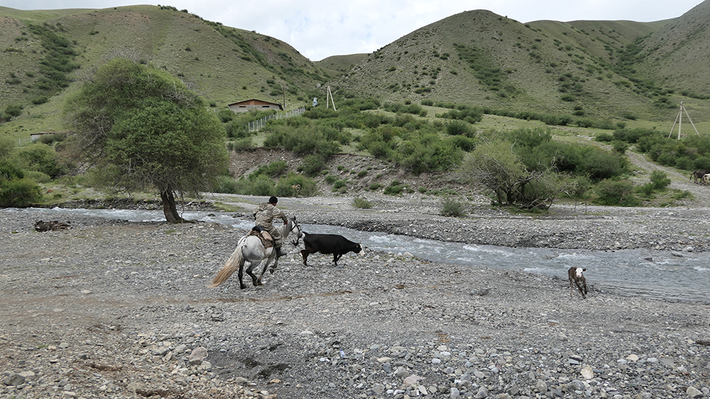 Potovanje_v_Kazahstan_-_Travel_to_Kazakhstan_37.JPG