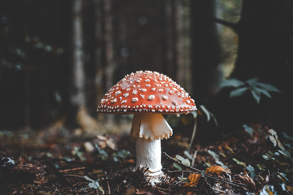 Photo_by_Florian_van_Duyn_on_Unsplash.jpg