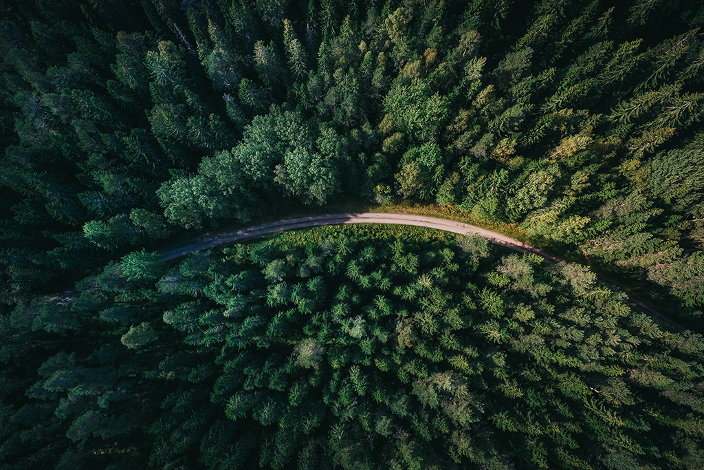 Photo_by_Geran_de_Klerk_on_Unsplash.jpg