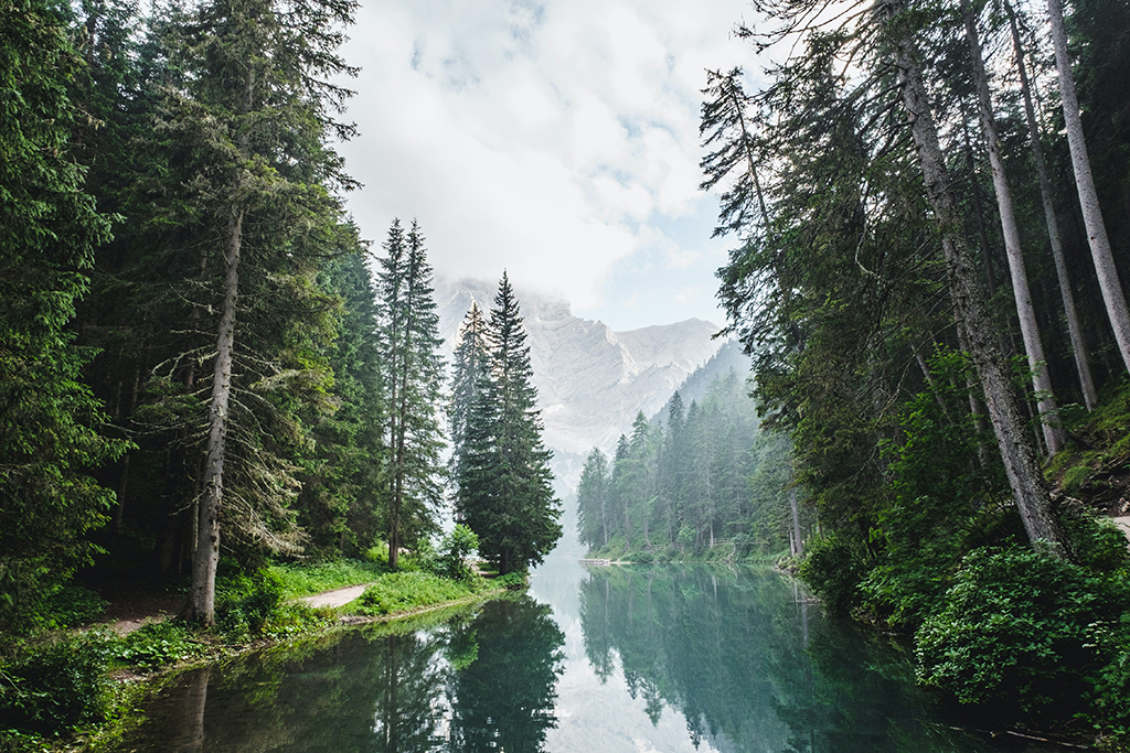 Photo_by_Luca_Bravo_on_Unsplash.jpg