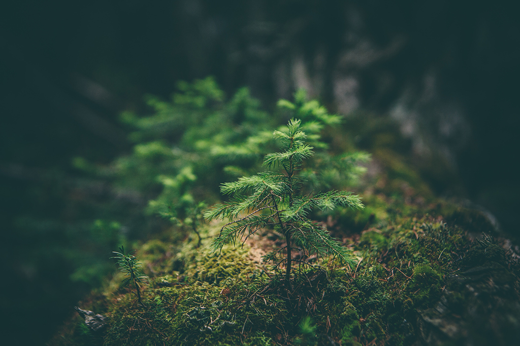 Photo_by_Matthew_Smith_on_Unsplash.jpg