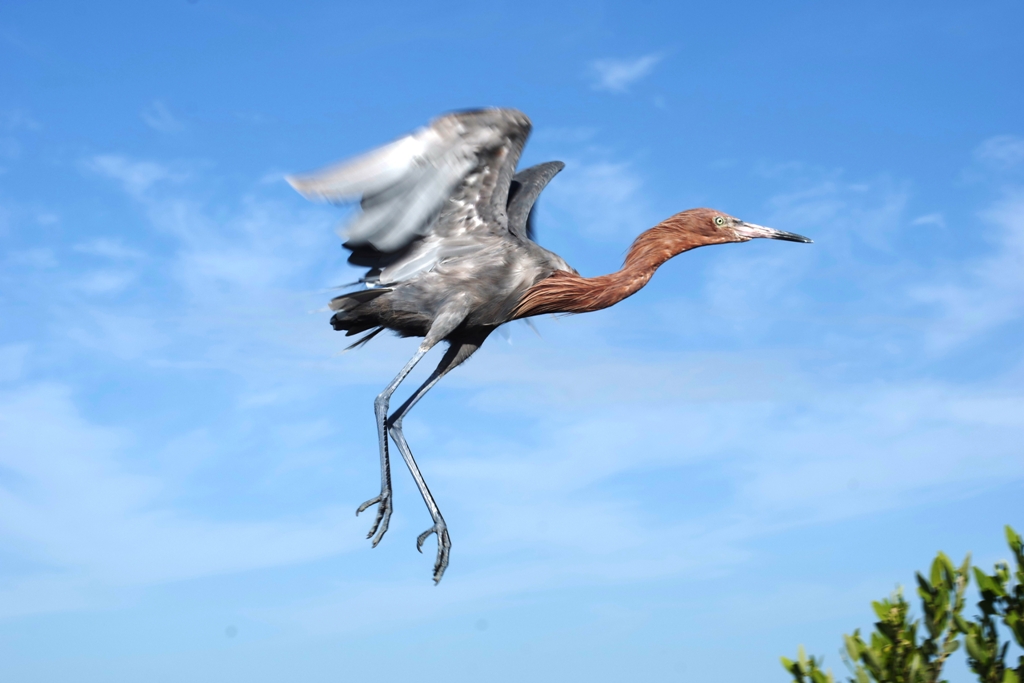 Potovanje_na_Kubo_-_Travel_to_Cuba_-_National_park.JPG