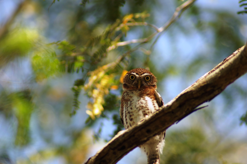 Potovanje_na_Kubo_-_Travel_to_Cuba_-__National_park.JPG