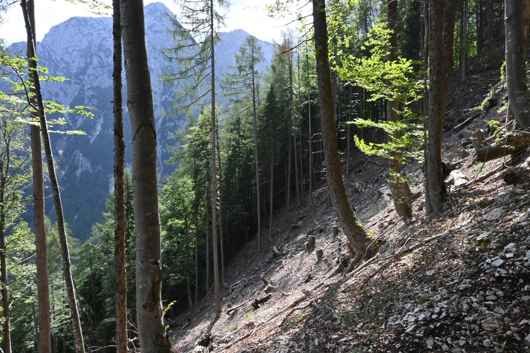 Izlet_na_Jezersko_-_Trip_to_Jezersko_-_Vzpon_na_Cesko_koco.JPG
