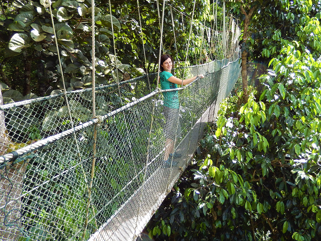 Potovanje_v_Malezijo_-_Travel_to_Malaysia_-_Taman_negara.jpg