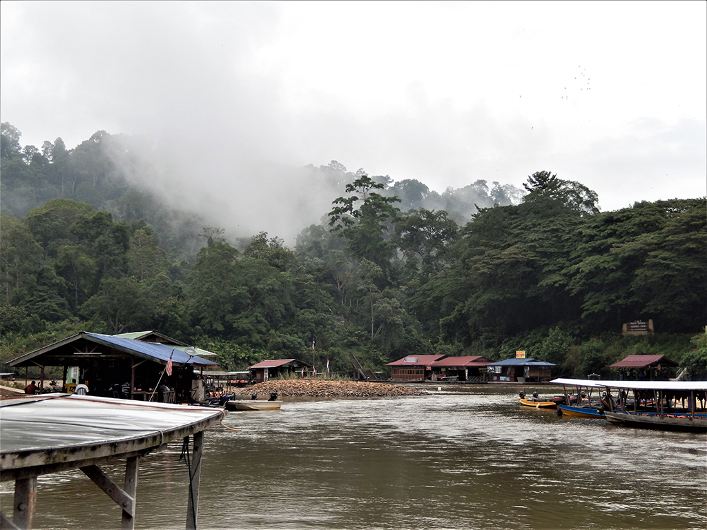 Potovanje_v_Malezijo_-_Travel_to_Malaysia_-_Taman_negara_vas.jpg
