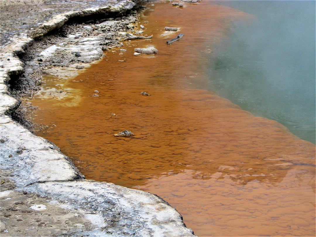 Potovanje_po_Novi_Zelandiji_-_A_trip_to_New_Zealand_12.jpg