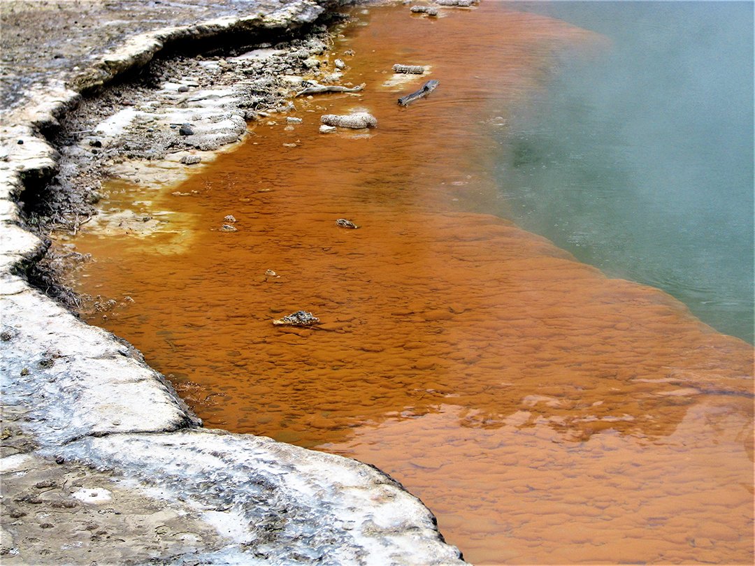 Potovanje_po_Novi_Zelandiji_-_A_trip_to_New_Zealand_2.jpg