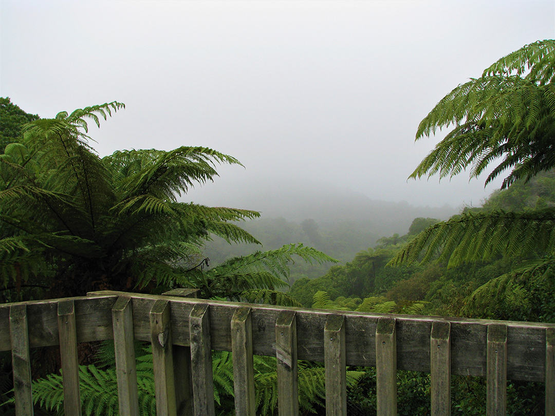 Potovanje_po_Novi_Zelandiji_-_A_trip_to_New_Zealand_20.jpg