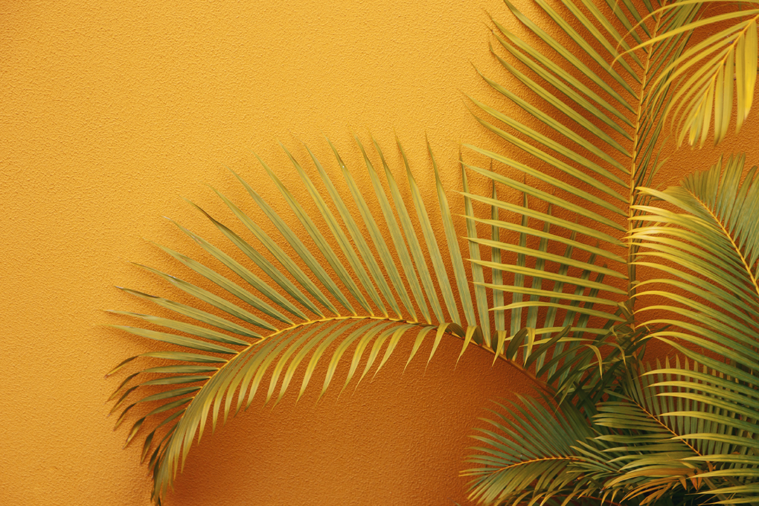Potepanje_po_Portugalski_-_Wandering_around_Portugal_-_Photo_by_Maria_Lupan_on_Unsplash.jpg