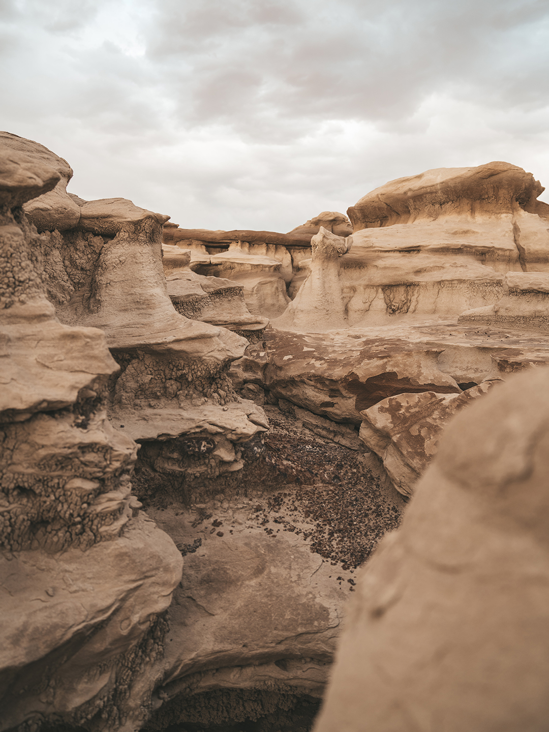 Photo_by_Joshua_Case_on_Unsplash.jpg