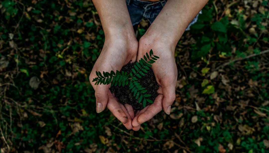 Photo_by_Noah_Buscher_on_Unsplash.jpg