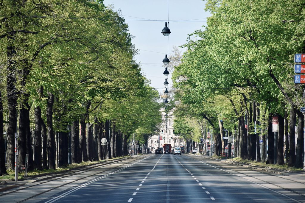 Popotniski_nasveti_za_obisk_Dunaja_-_Travel_tips_for_visiting_Vienna_-_Photo_by_Arno_Senoner_on_Unsplash.jpg