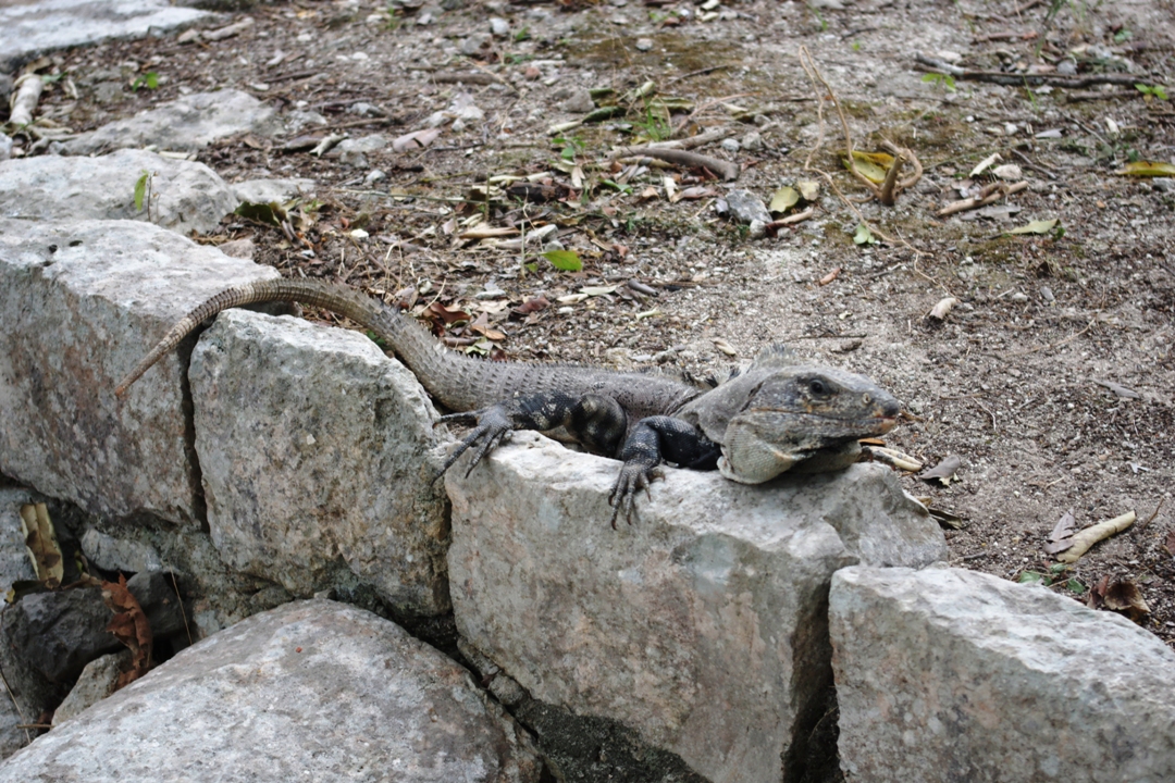 Raziskovanje_Mehike_-_Exploring_Mexico_12.JPG