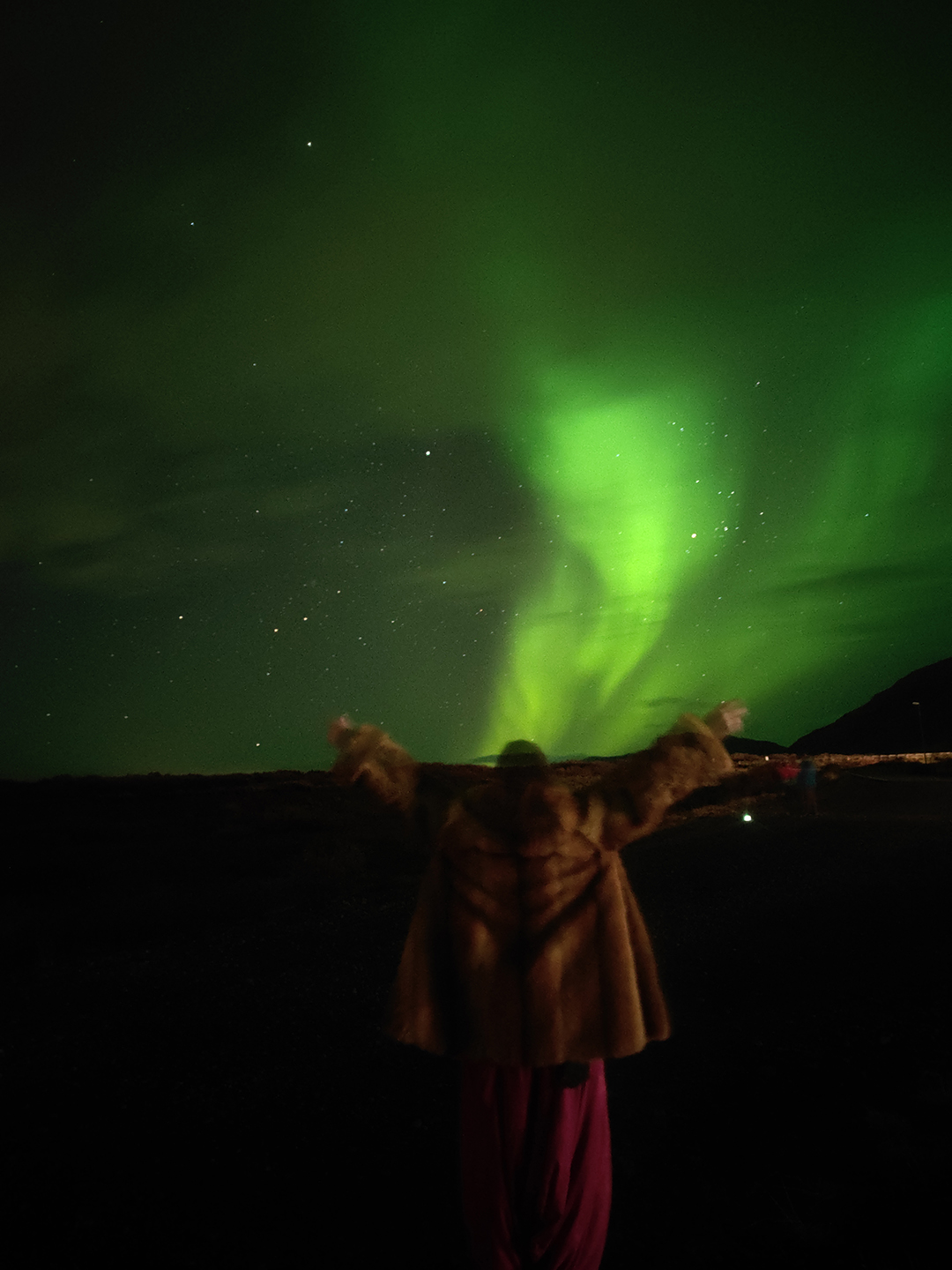 Dozivetje_Severni_sija_na_Islandiji_-_Experience_the_Northern_Lights_in_Iceland_2.jpg