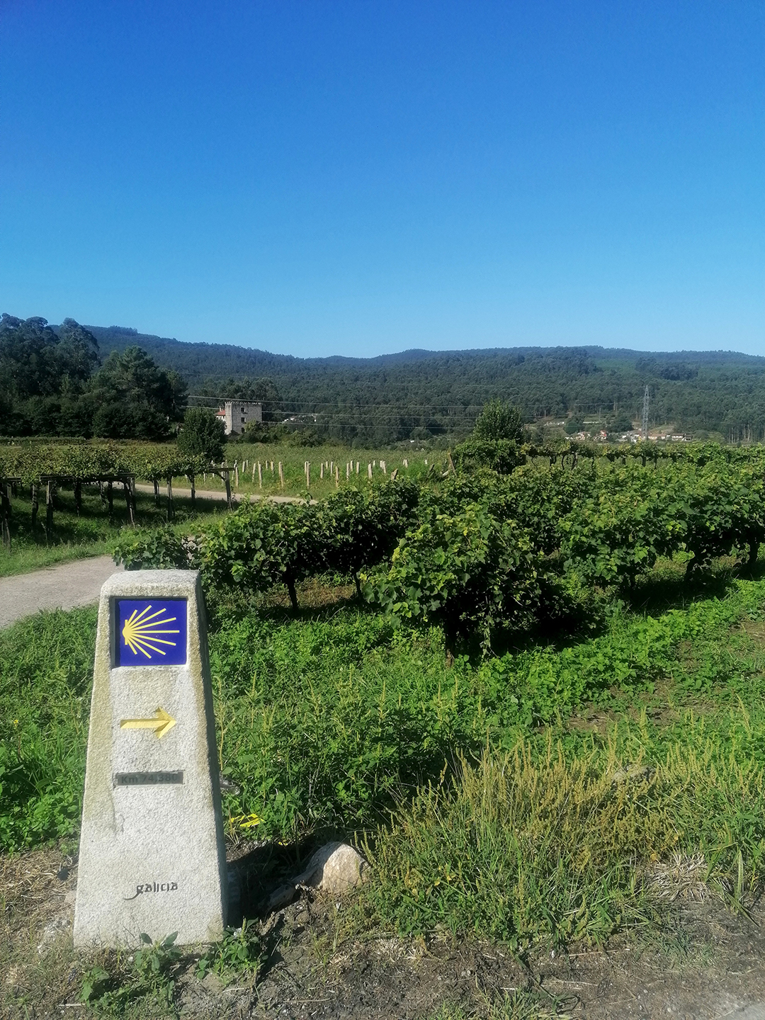 Romarska_pot_Camino_de_Santiago__-_Pilgrimage_route_Camino_de_Santiago_10.jpg