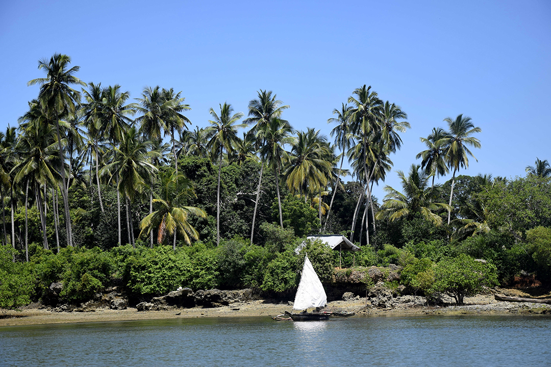 Popotniski_nasveti_za_Tanzanijo_-_Travel_tips_for_Tanzania_1.JPG
