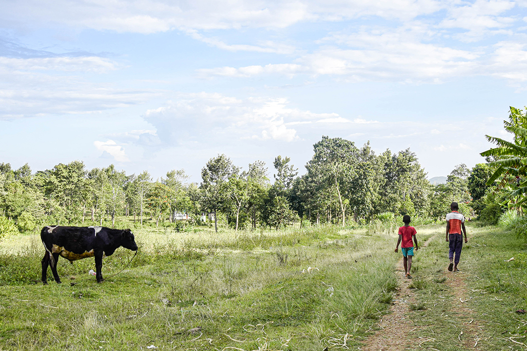 Popotniski_nasveti_za_Tanzanijo_-_Travel_tips_for_Tanzania_12.jpg