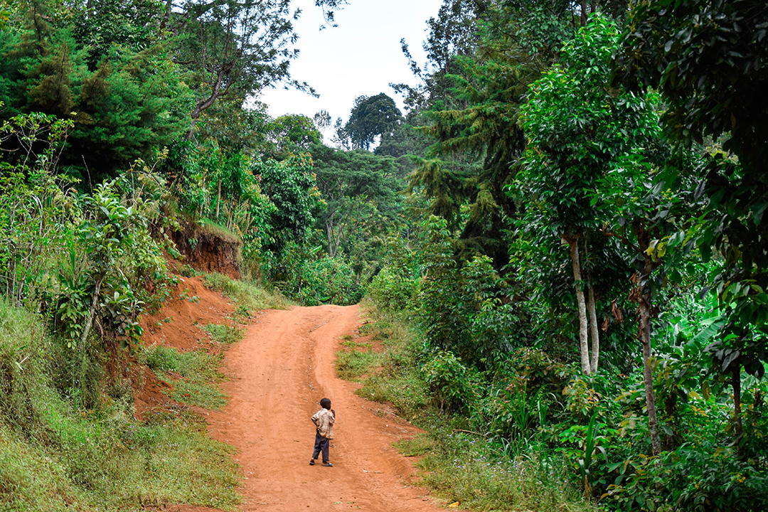Popotniski_nasveti_za_Tanzanijo_-_Travel_tips_for_Tanzania_2.jpg