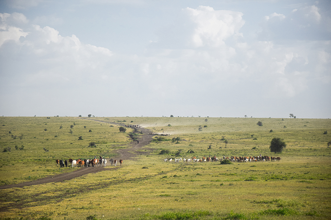 Popotniski_nasveti_za_Tanzanijo_-_Travel_tips_for_Tanzania_3.JPG