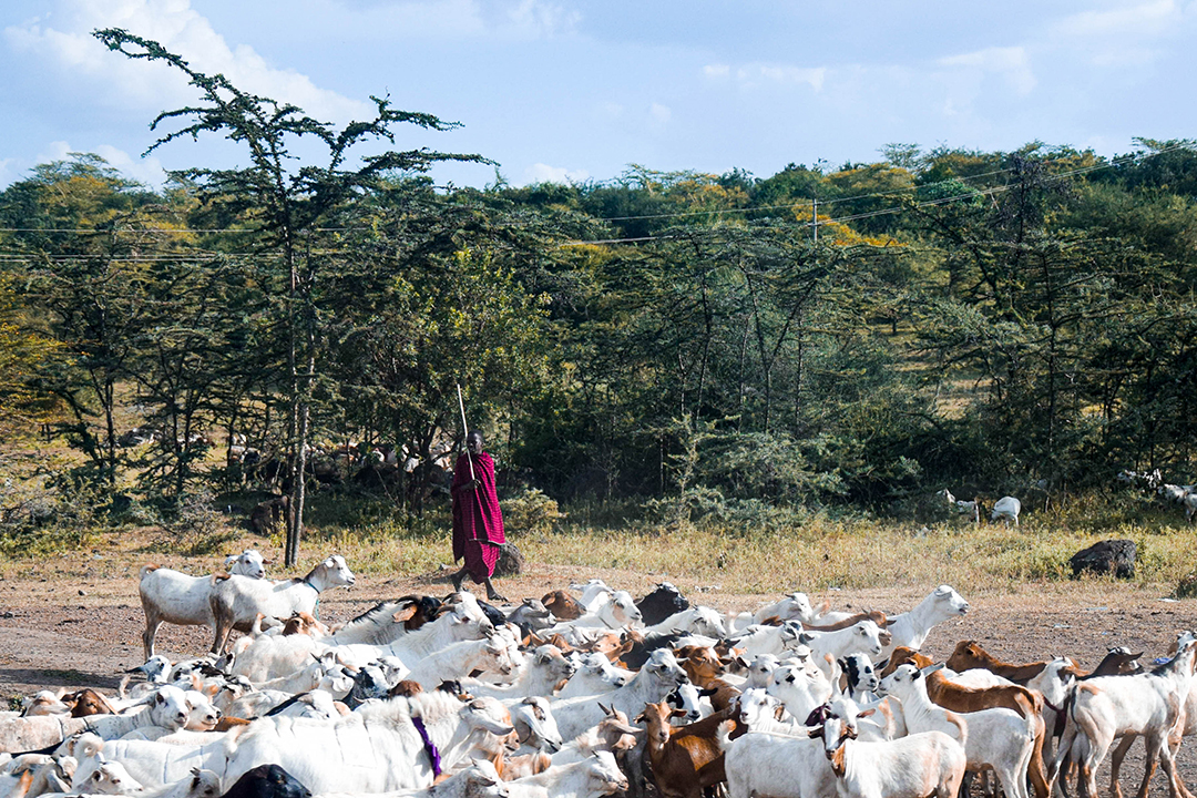Popotniski_nasveti_za_Tanzanijo_-_Travel_tips_for_Tanzania_4.jpg