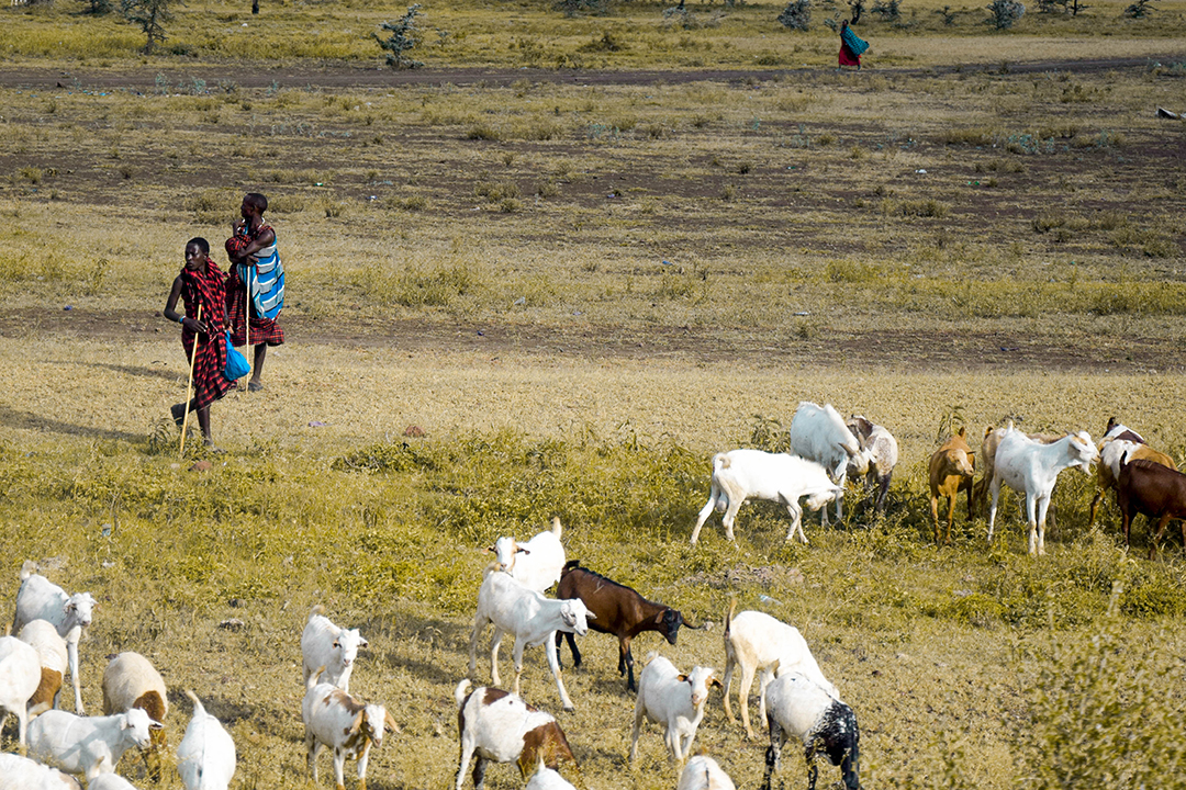 Popotniski_nasveti_za_Tanzanijo_-_Travel_tips_for_Tanzania_6.jpg