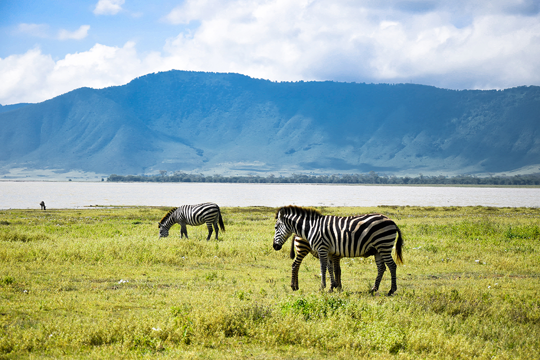 Popotniski_nasveti_za_Tanzanijo_-_Travel_tips_for_Tanzania_9.JPG