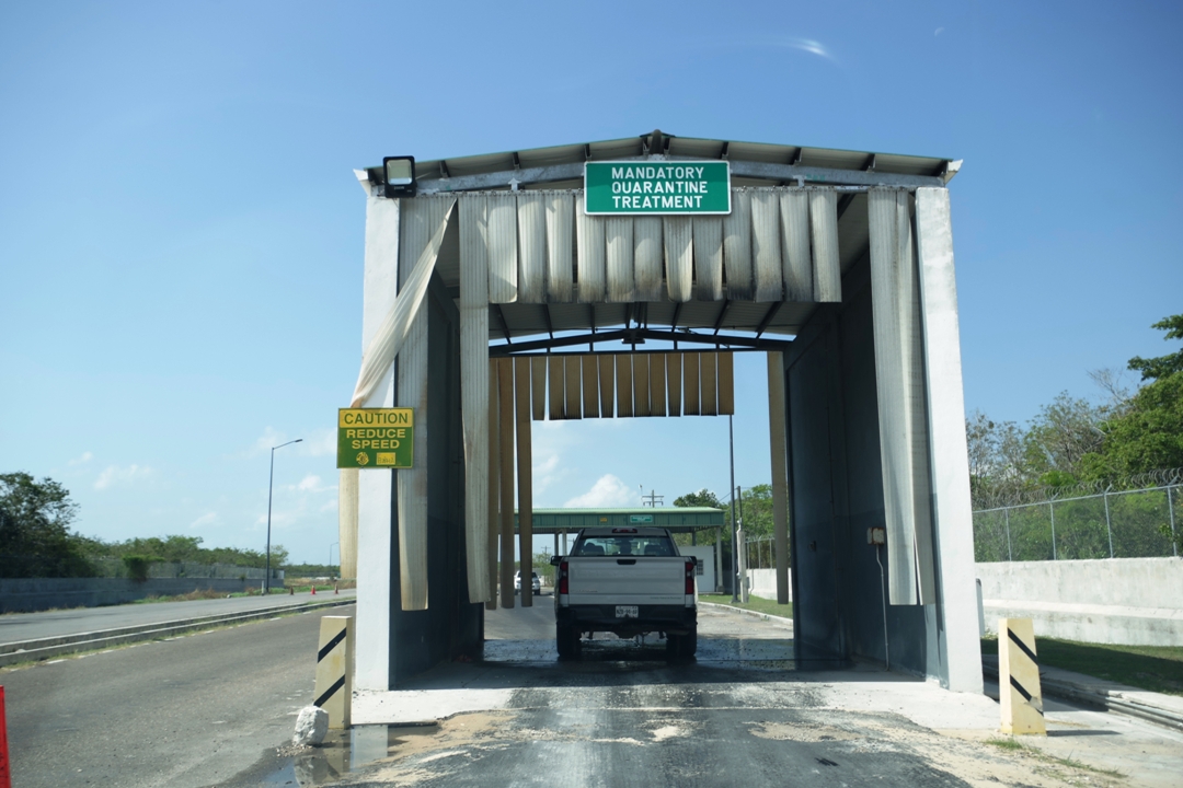 Potovanje_v_Jukatan_Meksiko_-_Travel_to_Yucatan_Mexico_1.JPG