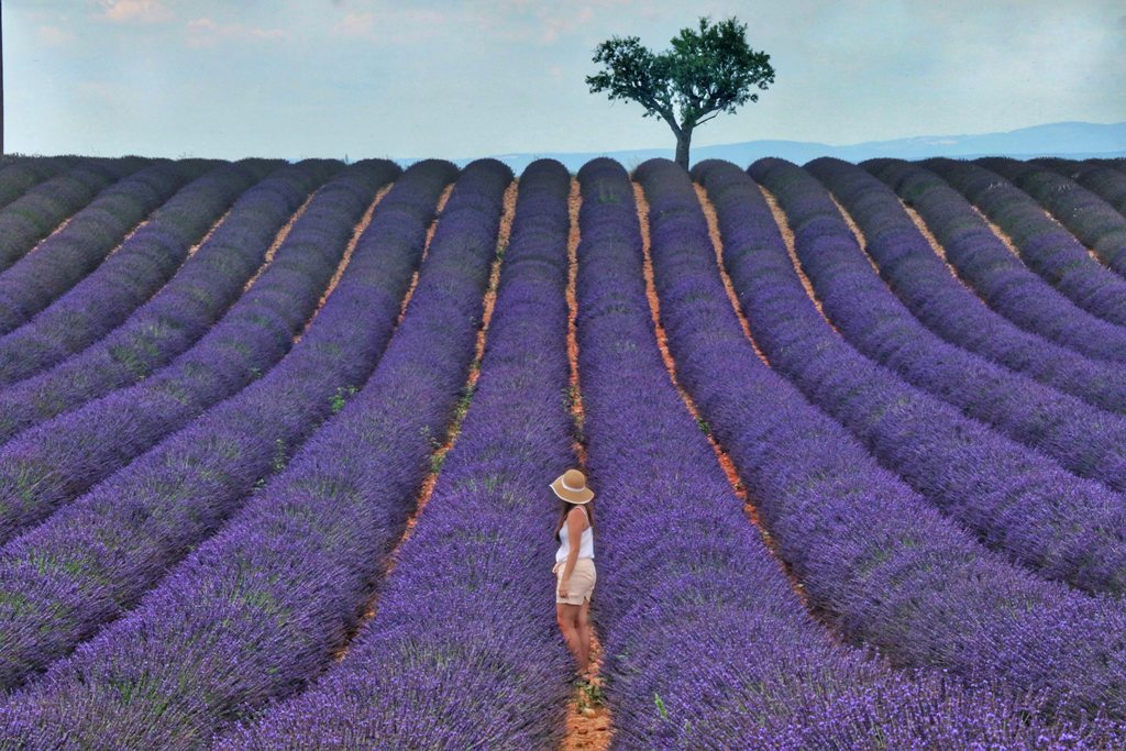 Roussillon_-_Naravni_regionalni_park_Luberon_-_Luberon_Natural_Regional_Park_-_Photo_by_Baraa_Jalahej_on_Unsplash.jpg