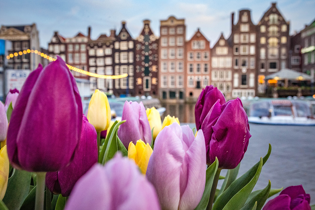 Popotniski_nasveti_za_Amsterdam_-_Travel_tips_for_Amsterdam_-_Photo_by_Catalina_Fedorova_on_Unsplash.jpg