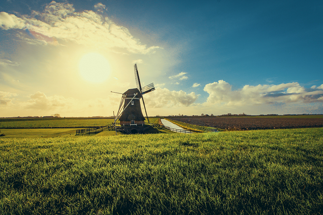 Popotniski_nasveti_za_Amsterdam_-_Travel_tips_for_Amsterdam_Photo_by_Tom_Swinnen_on_Pexels.jpg