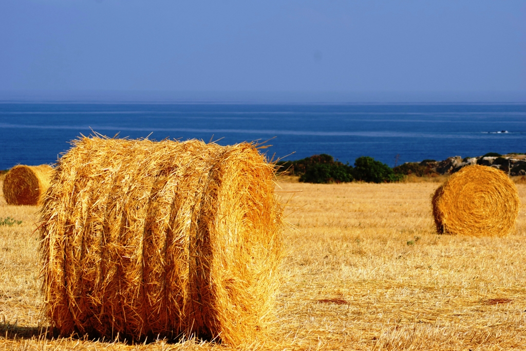Popotniski_nasveti_za_izlet_na_Ciper_-_Travel_tips_for_a_trip_to_Cyprus_7.JPG