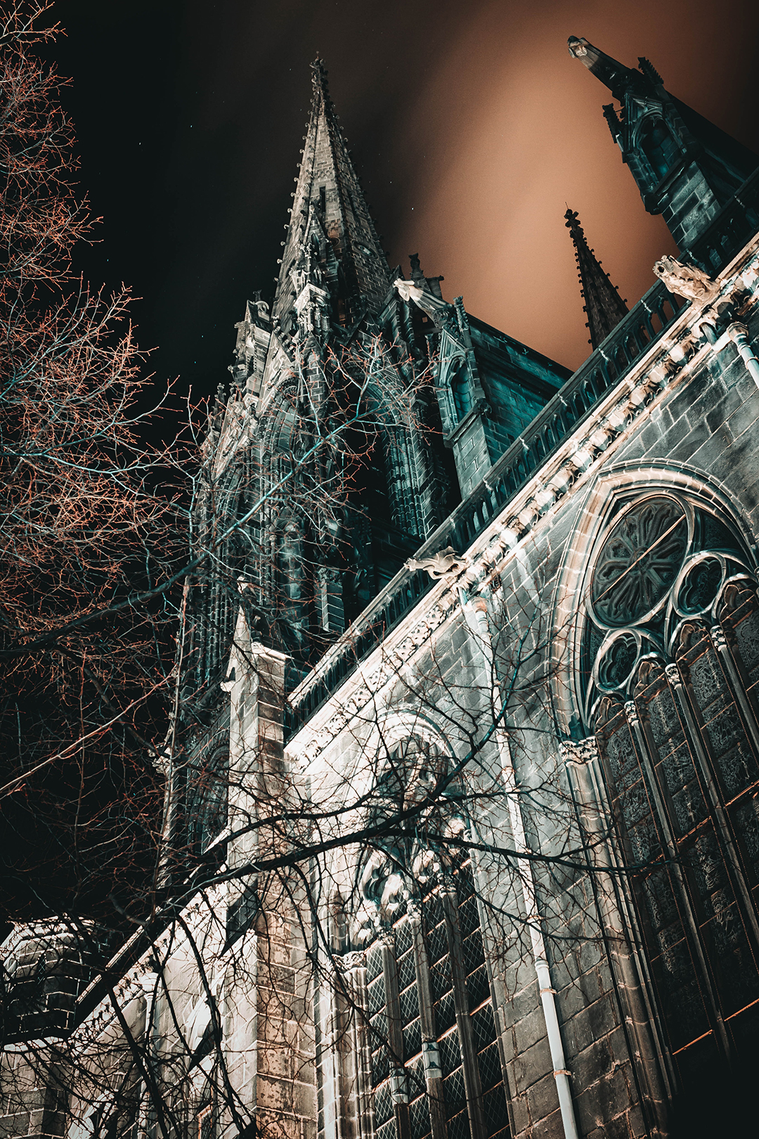 Izlet_v_mesto_Clermont-Ferranda_-_Excursion_to_the_city_of_Clermont-Ferranda_-_Photo_by_Mathias_Reding_on_Unsplash.jpg