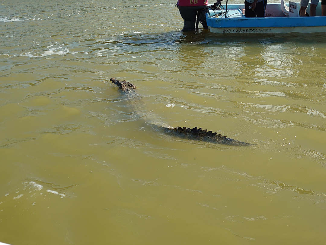 Popotniski_nasveti_za_Jukatan_Meksiko_-_Travel_tips_for_Yucatan_Mexico_3.JPG