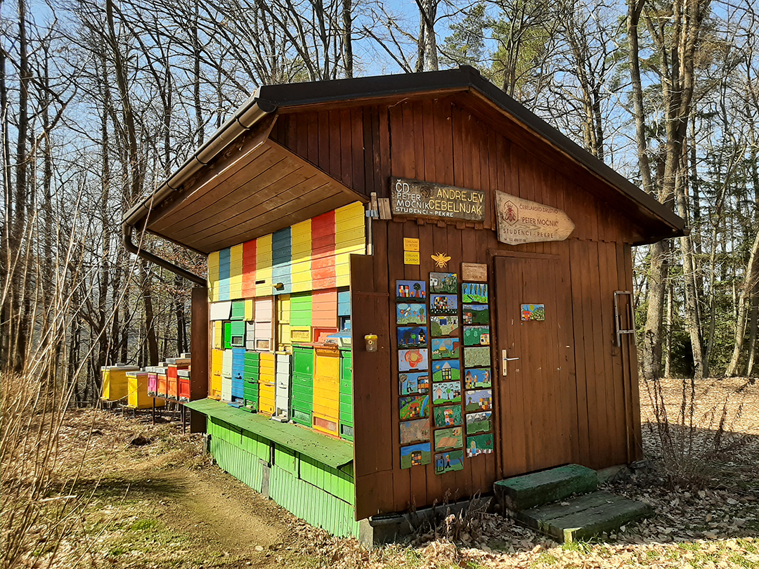 Pohodniske_poti_Pohorja_-_Pohorje_hiking_trails_1.jpg
