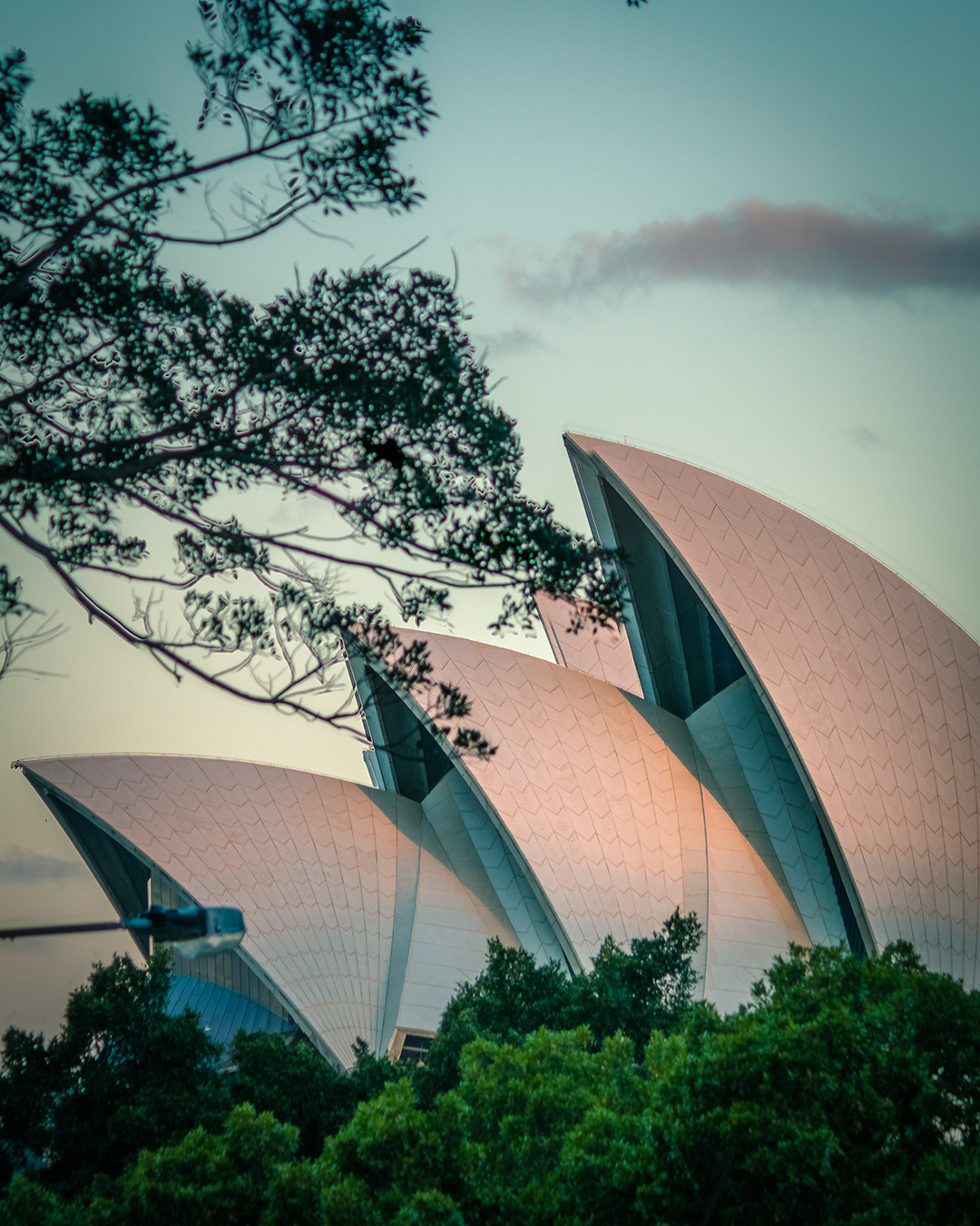 03_Photo_by_Mudassir_Ali_on_Pexels_-_Potovanje_po_Avstraliji_-_Travelling_around_Australia.jpg 03_Photo_by_Mudassir_Ali_on_Pexels_-_Potovanje_po_Avstraliji_-_Travelling_around_Australia.jpg