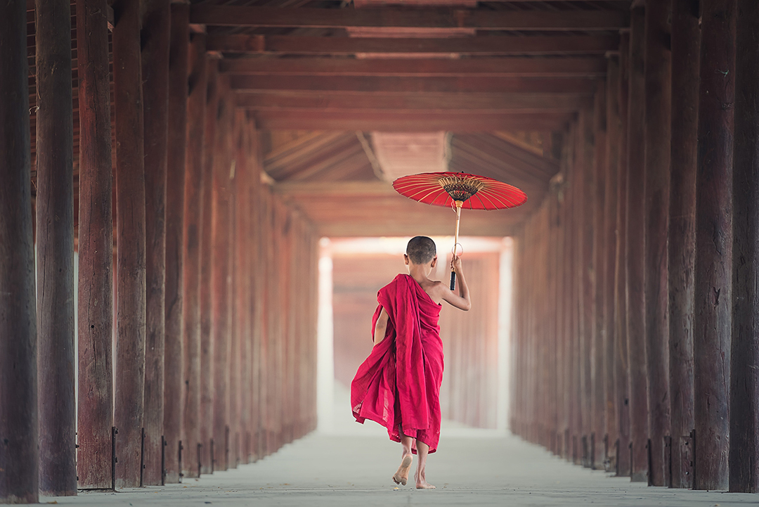 06_Photo_by_Pixabay_on_Pexels_-_Potovanje_na_Japonsko_-_Travelling_to_Japan_1.jpg