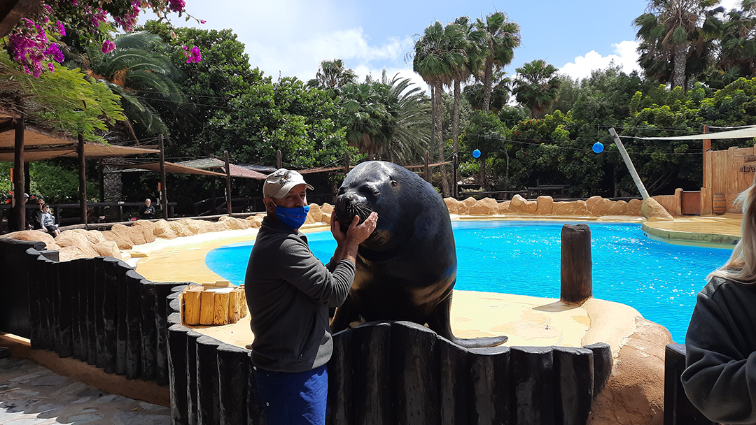 Potovanje_po_otoku_Lanzarote_-_A_trip_to_the_island_of_Lanzarote_12.jpg