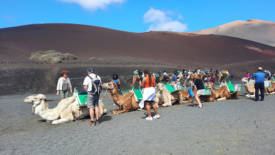 Potovanje_po_otoku_Lanzarote_-_A_trip_to_the_island_of_Lanzarote_8.jpg