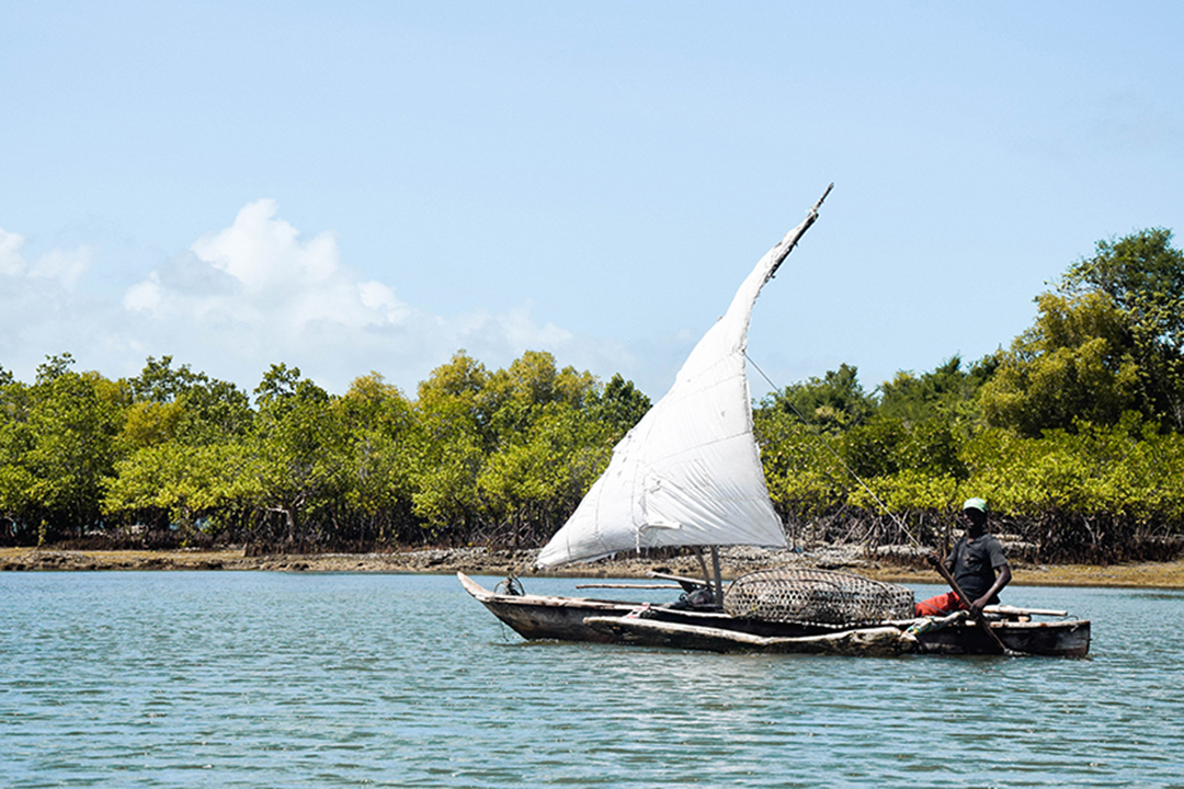 Prostovoljenje_v_Zanzibarju_-_Volunteering_in_Zanzibar_2.jpg