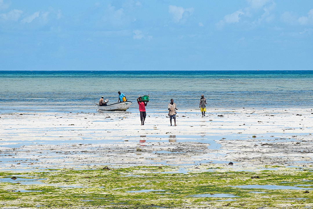 Prostovoljenje_v_Zanzibarju_-_Volunteering_in_Zanzibar_5.jpg
