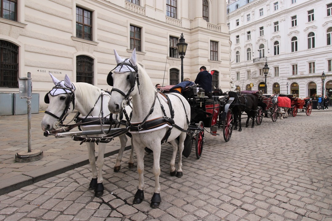 Raziskovanje_Dunaja_-_Exploring_Vienna_15.JPG