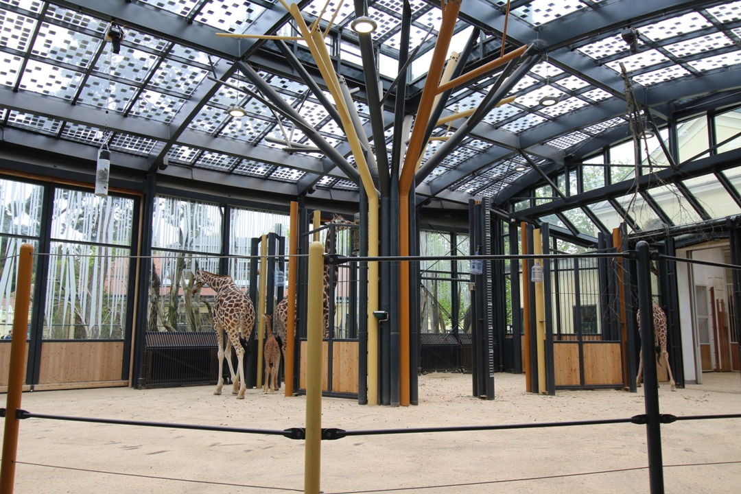 Raziskovanje_Dunaja_-_Exploring_Vienna_8.JPG