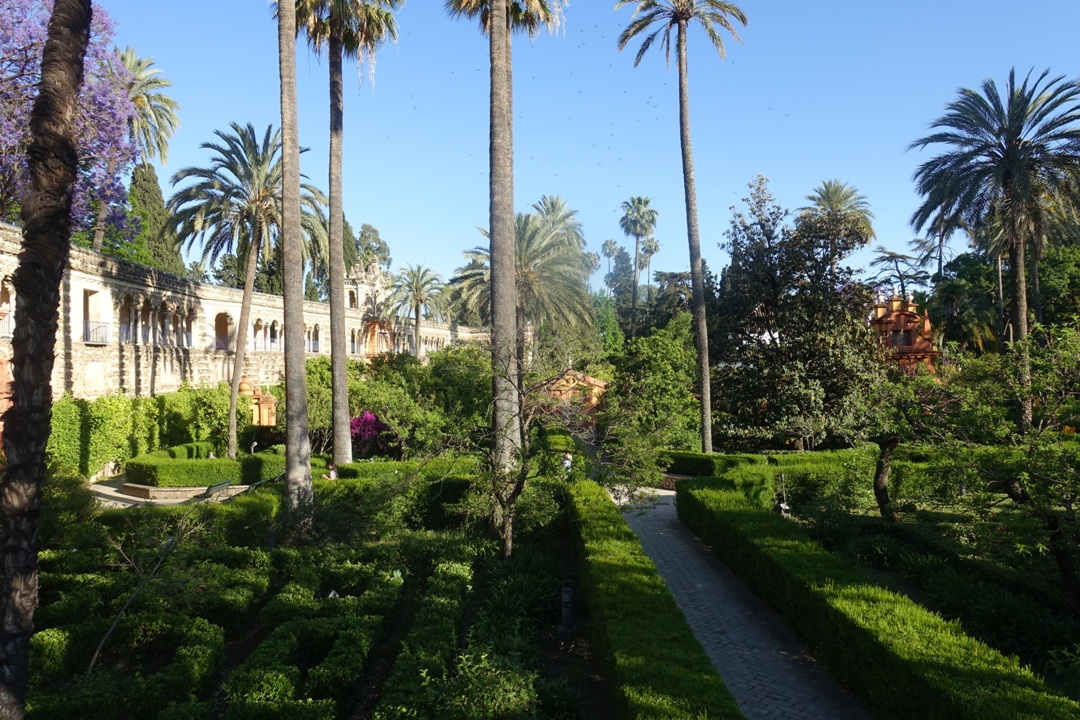 Izlet_v_mesto_Seville_-_Trip_to_the_city_of_Seville_15.JPG
